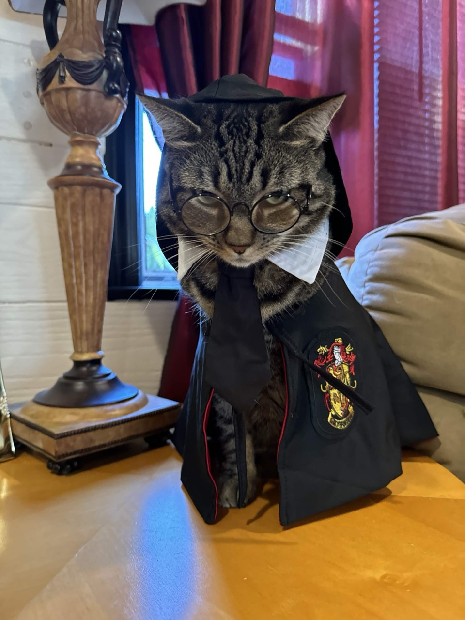 Levi dressed as Harry Potter